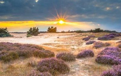 Autospeurtocht Veluwe 11 oktober 2025